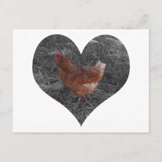 Heart Shaped Chicken Postcard