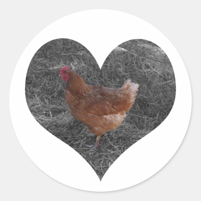 Heart Shaped Chicken Stickers (Front)