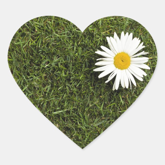 Heart shaped piece of lawn with big daisy flower sticker (Front)