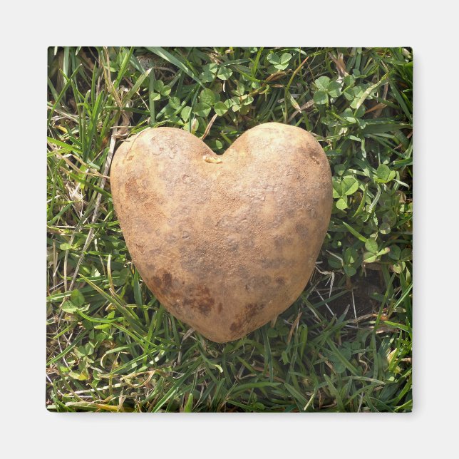 Heart Shaped Potato Magnet (Front)