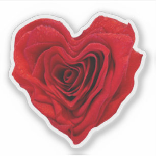 Heart-Shaped Red Rose