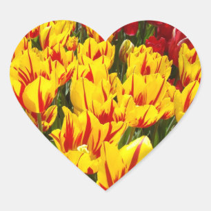Heart Shaped stickers Tulip Flowers Spring sticker