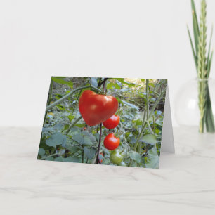 Heart Shaped Tomato no message Holiday Card