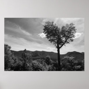 Heart Shaped Tree Poster