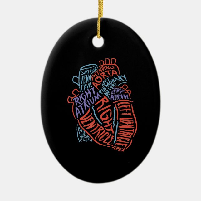 Heart Specialist Anatomy Doctor Medical Biology Ceramic Ornament (Front)