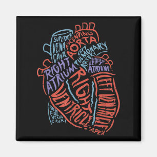 Heart Specialist Anatomy Doctor Medical Biology Magnet