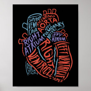 Heart Specialist Anatomy Doctor Medical Biology Poster