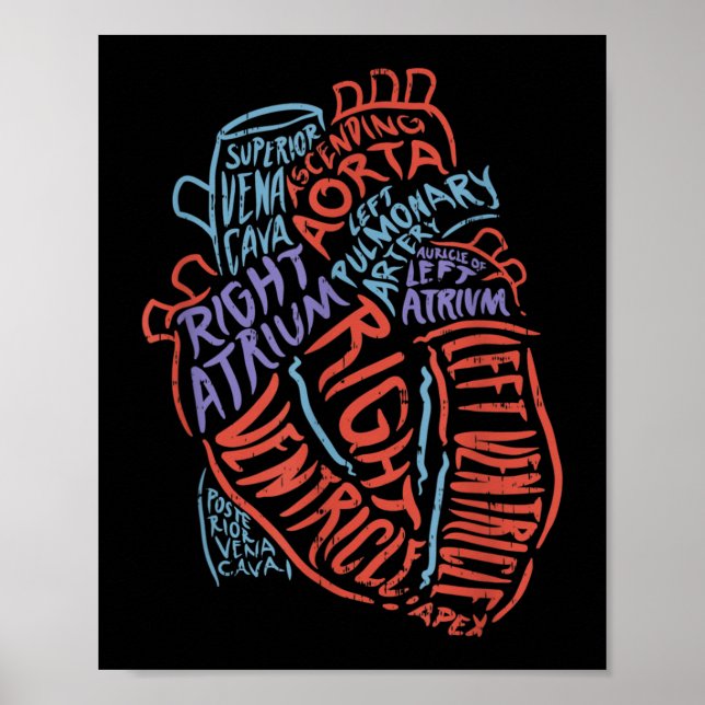 Heart Specialist Anatomy Doctor Medical Biology Poster (Front)