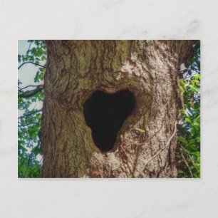 Heart Tree Postcard