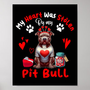 Heart Was Stolen By My Pit Bull Valentine Dog Owne Poster