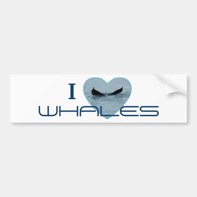 Heart with Whale Tail Photo Bumper Sticker (Front)