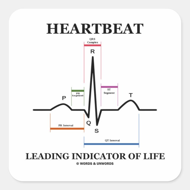 Heartbeat Leading Indicator Of Life (ECG/EKG) Square Sticker (Front)