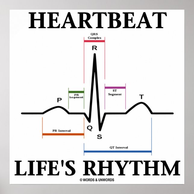 Heartbeat Life's Rhythm (ECG / EKG Heartbeat) Poster (Front)