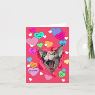 Heartbreaker Sphynx Valentine Card