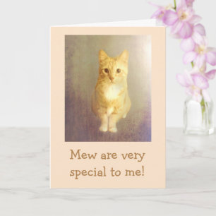 Heartfelt "From The Cat" Birthday Card