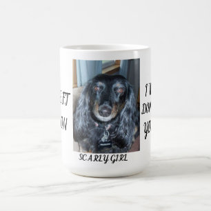 Heartfelt Memorial Fur Baby One Photo and Name Coffee Mug