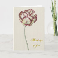 Heartfelt Sympathy - Vintage Yellow & Red Tulip