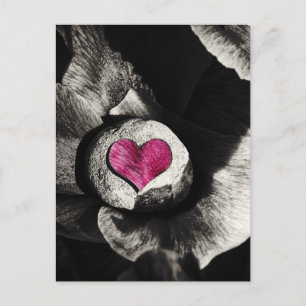Hearth of Stone & Peony Flower Postcard