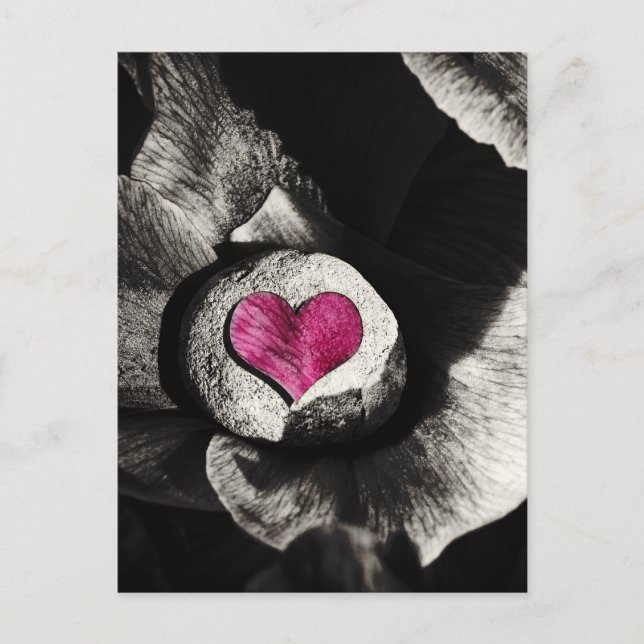 Hearth of Stone & Peony Flower Postcard (Front)