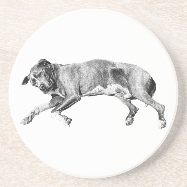 Hearthside Pause, Sleepy Friend Coaster (Front)