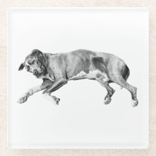 Hearthside Pause, Sleepy Friend Glass Coaster