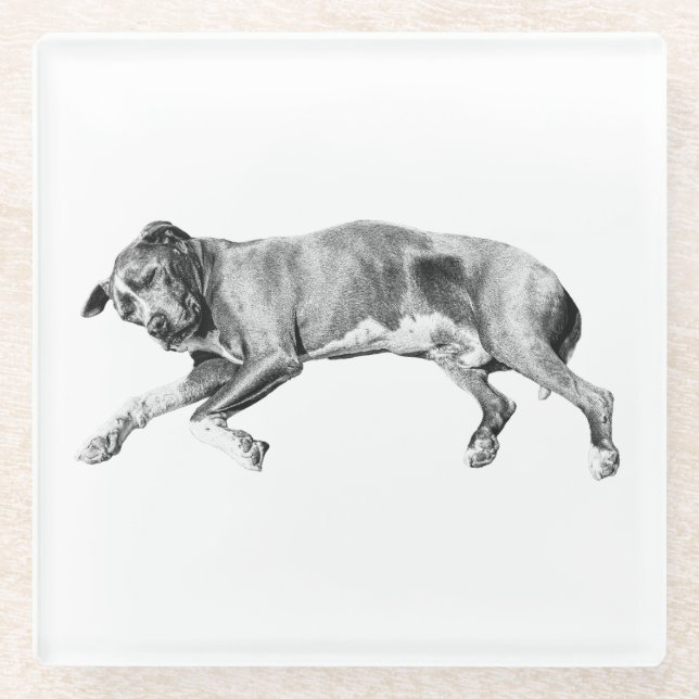 Hearthside Pause, Sleepy Friend Glass Coaster (Front)