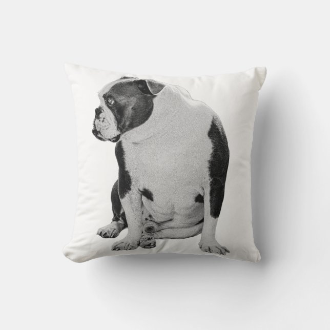 Hearthside Seated Accent Cushion (Front)