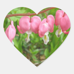 "Hearts Delight!" Heart Sticker