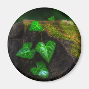 Hearts of Ivy Magnet