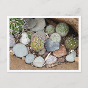 Heartstones Postcard