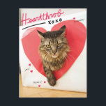 Heartthrob Cat Postcard<br><div class="desc">Now your cat can follow in the venerable pawprints of the Internet's brightest feline stars. Customise this design by uploading your cat's photo and instantly turn your cat into an Internet Celebrity. (Designs inspired by the How to Make Your Cat an Internet Celebrity book.)</div>