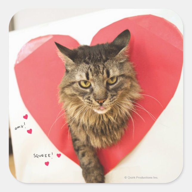 Heartthrob Cat Square Sticker (Front)