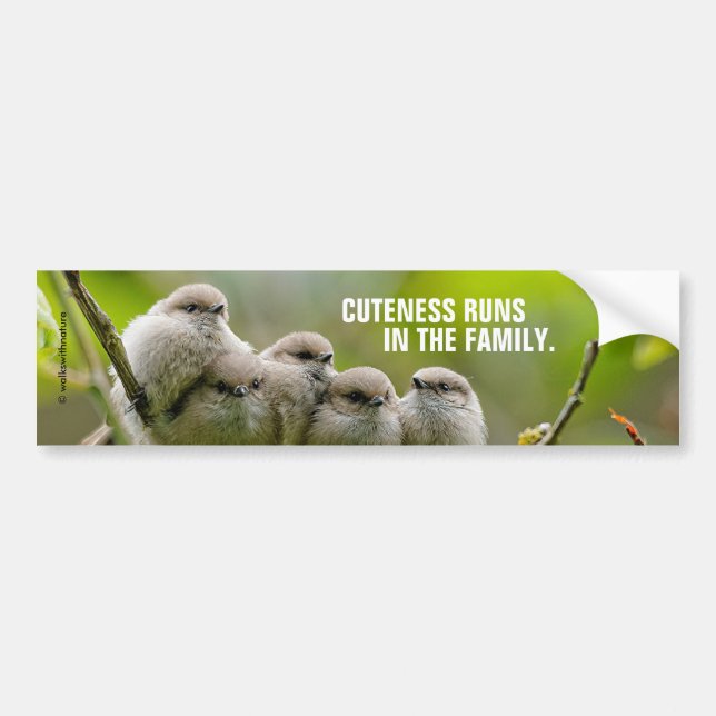Heartwarming Cute Bushtits Songbirds Family Photo Bumper Sticker (Front)