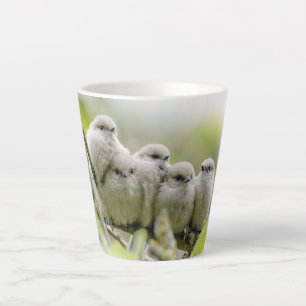 Heartwarming Cute Bushtits Songbirds Family Photo Latte Mug