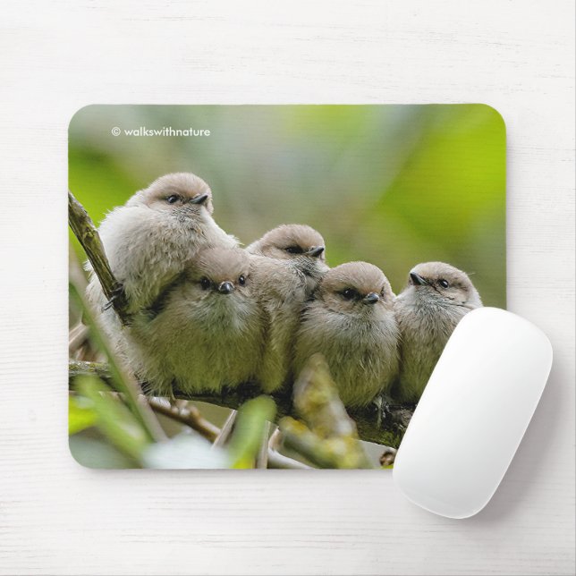 Heartwarming Cute Bushtits Songbirds Family Photo Mouse Pad (With Mouse)