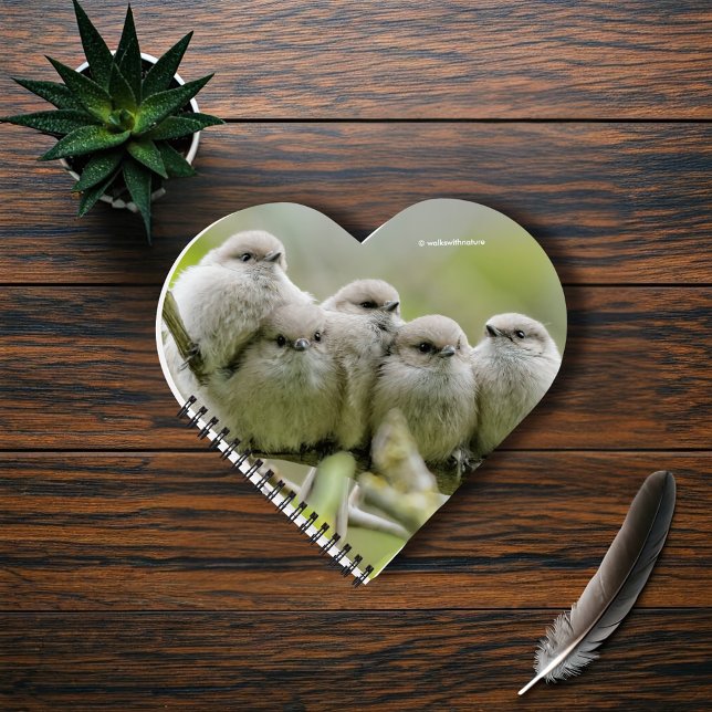 Heartwarming Cute Bushtits Songbirds Family Photo Notebook (Heartwarming Young Bushtits in the Plum Tree Journal Cover Photo)