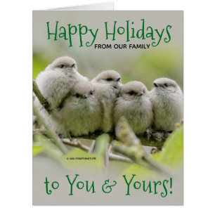 Heartwarming Songbirds Family Christmas Holiday