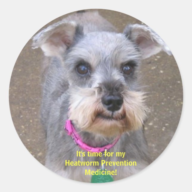 Heartworm Medicine Reminder Stickers (Front)