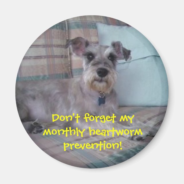 Heartworm Reminder Magnet (Front)