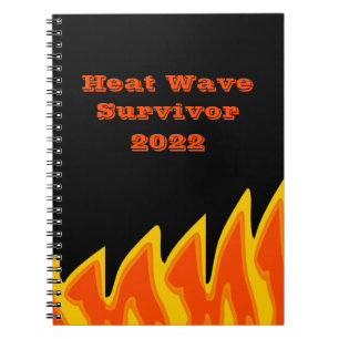 Heat Wave Survivor 2022 Notebook