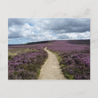 Heather Postcard