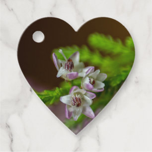 Heather Spring flower evergreen bloom purple white Favour Tags