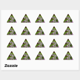 Heather Spring flower evergreen bloom purple white Triangle Sticker