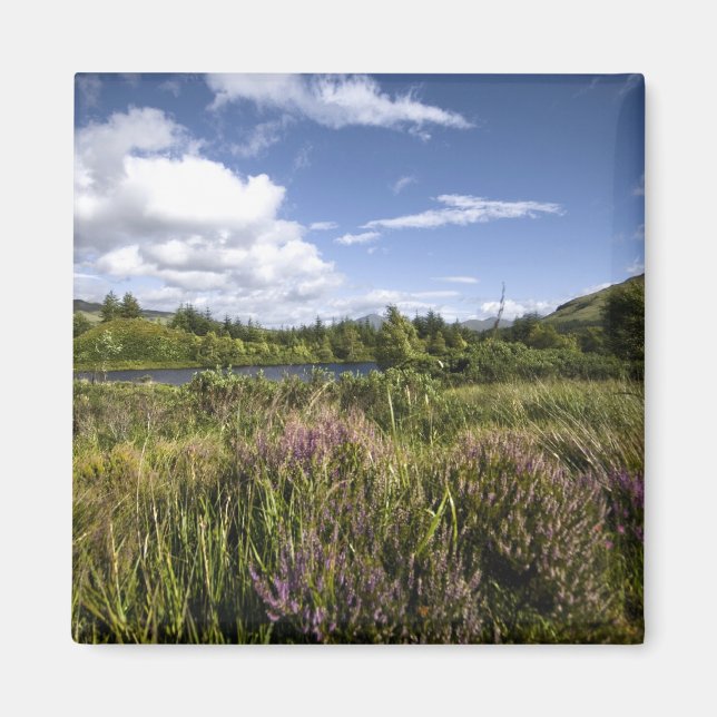 Heathland Magnet (Front)