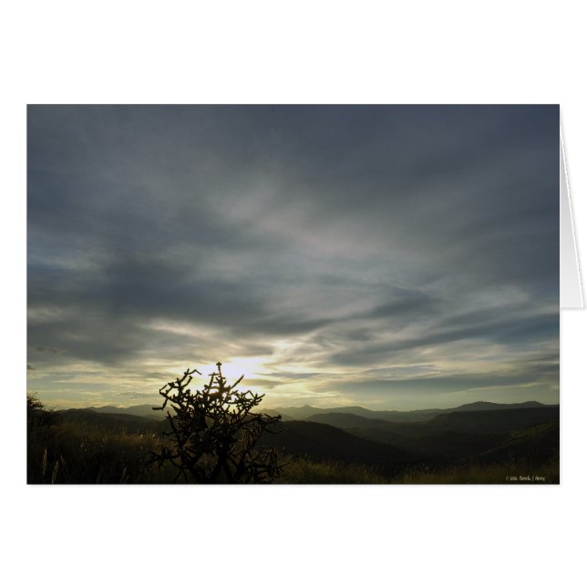 HEAVEN + EARTH (Front Horizontal)