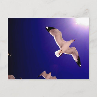 heaven opens postcard