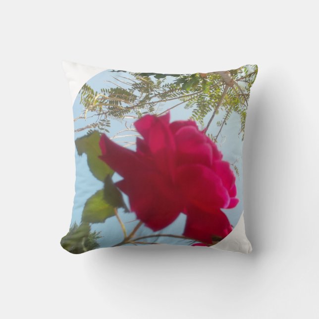 Heavenly Bloom: A Rose Against the Sky Cushion (Front)