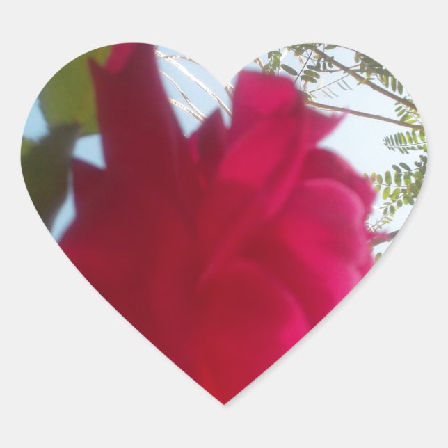 Heavenly Bloom: A Rose Against the Sky Heart Sticker (Front)