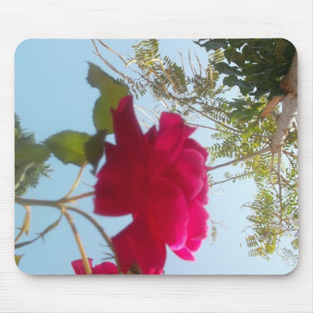 Heavenly Bloom: A Rose Against the Sky Mouse Pad (Front)