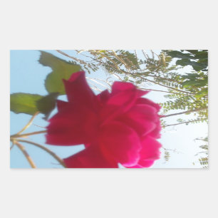 Heavenly Bloom: A Rose Against the Sky Rectangular Sticker